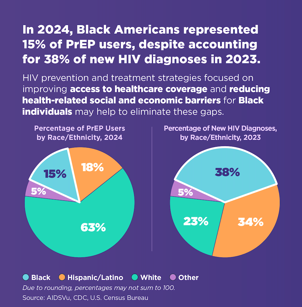 National Black HIV AIDS Awareness Day Toolkit 2026 AIDSVu NBHAAD Pie Chart 