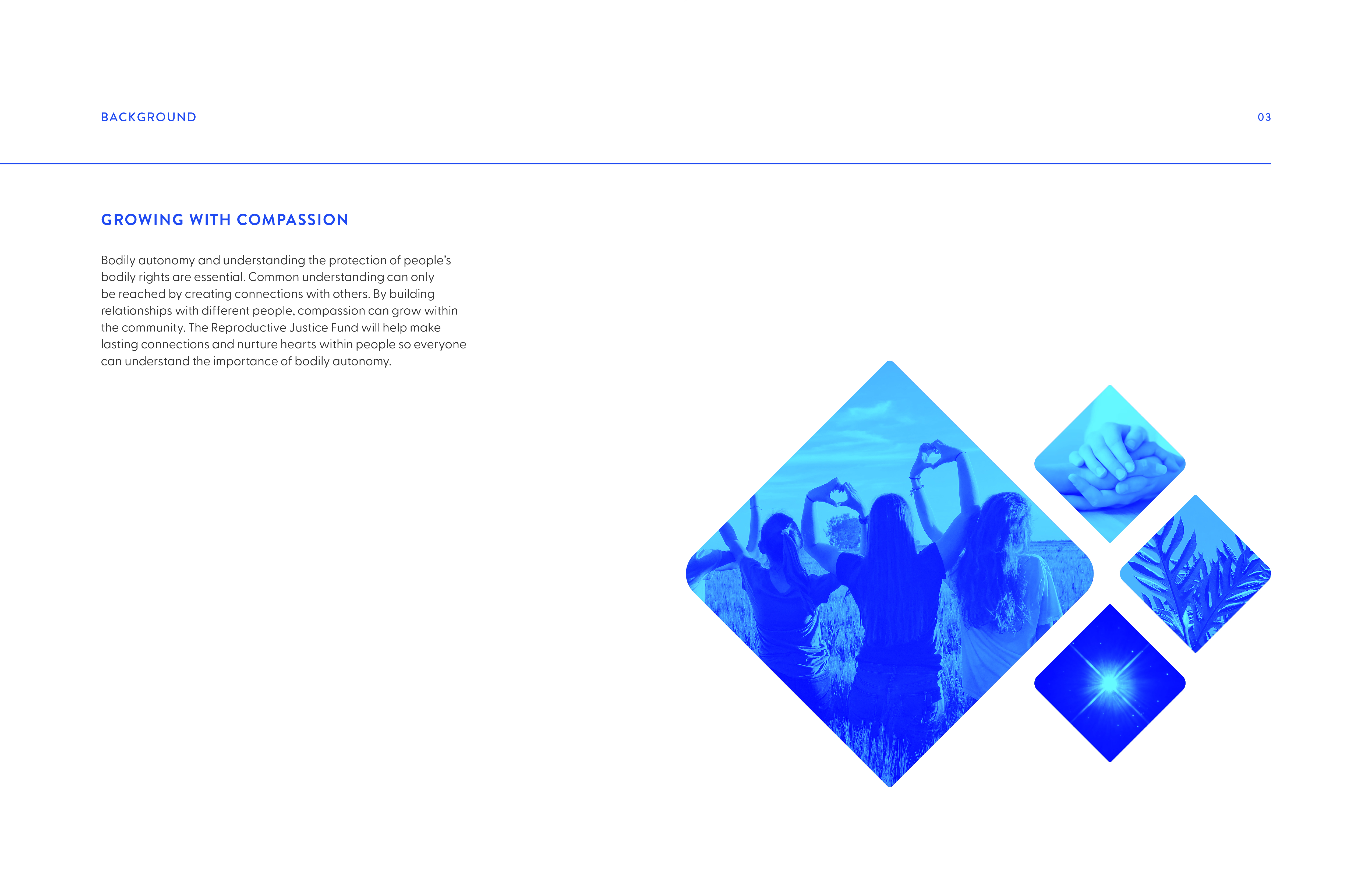 ProcessBook_Draft135