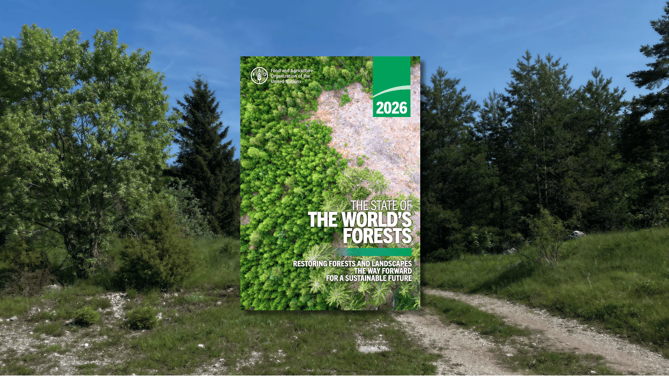 State of the World Forests 2026