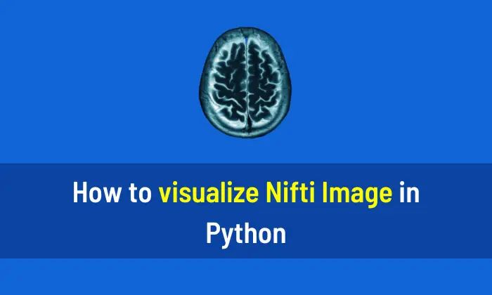 How To Visualize Nifti Image In Python Aihints - Vintage Background Collection - 4K Quality