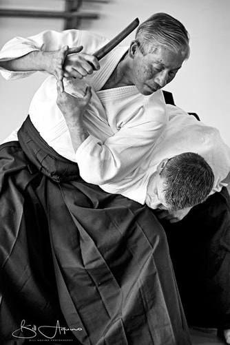 Hoa Newens Shihan