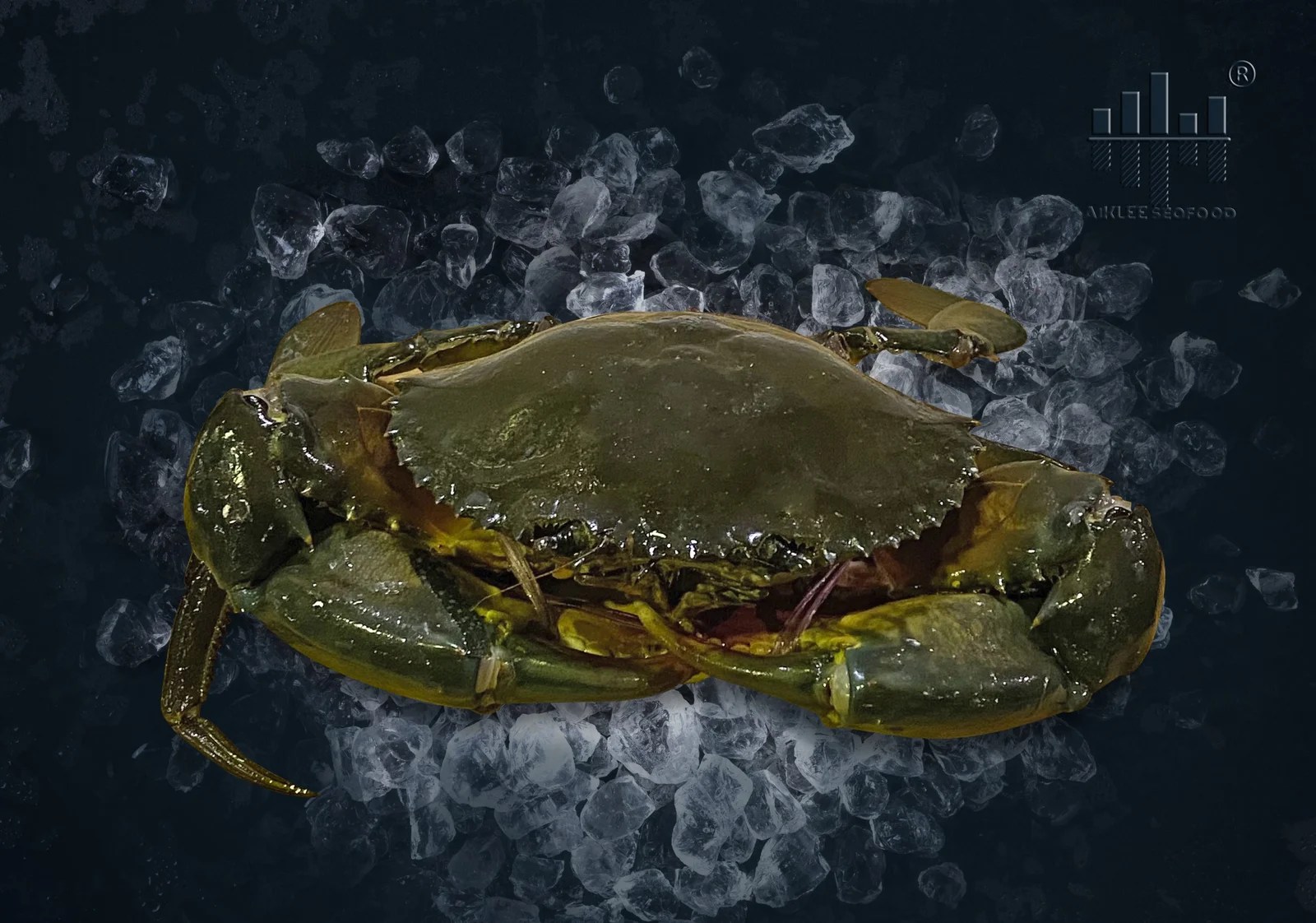 AIKLEE] Live Mug Crab 螃蟹 (400g~500g/ 500g~600g) Whole [SEAFOOD