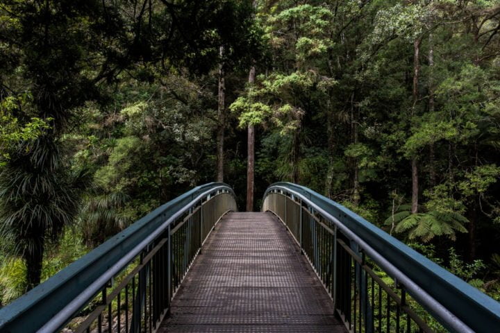 The bridge between peace and forgiveness