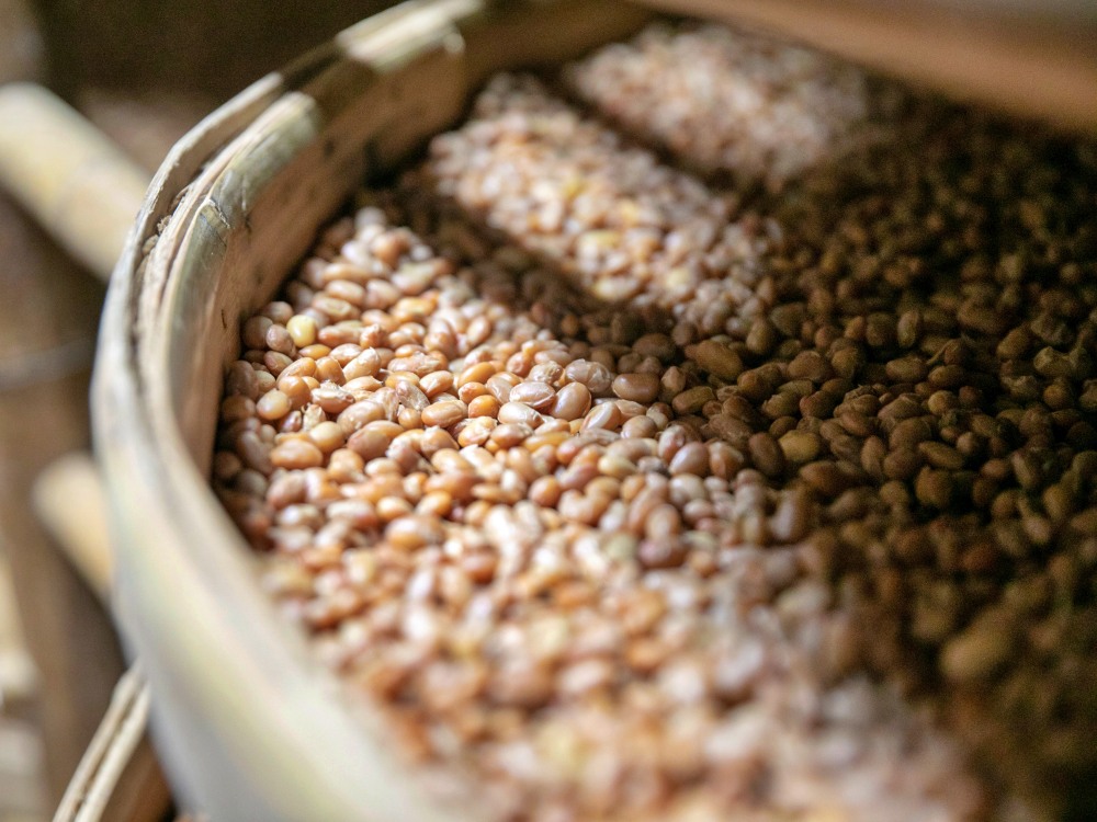 高雄老產業│協美手工醬油 甘醇沒有捷徑 一如人生百味需時間醞釀