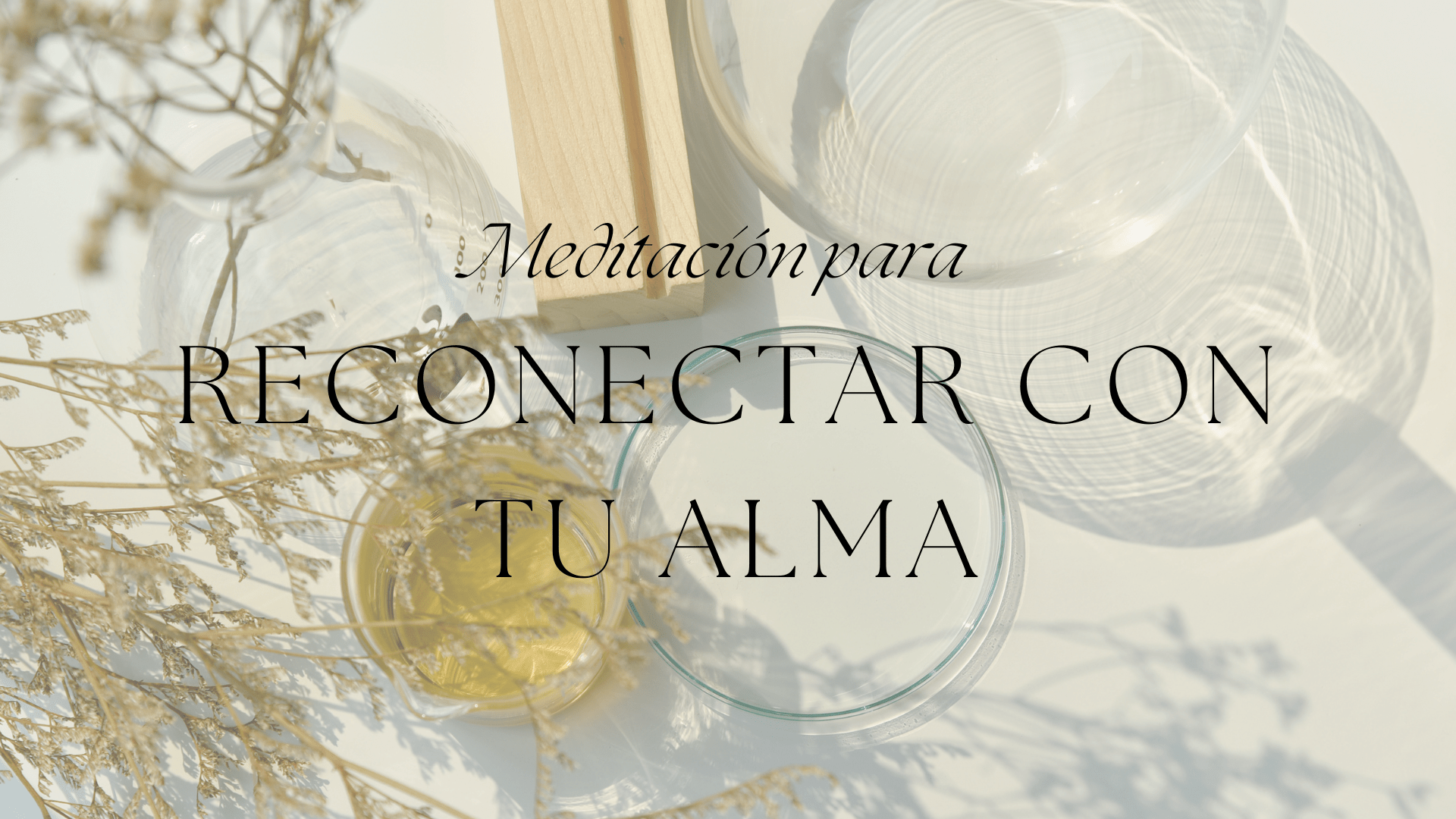 Reconecta con tu alma