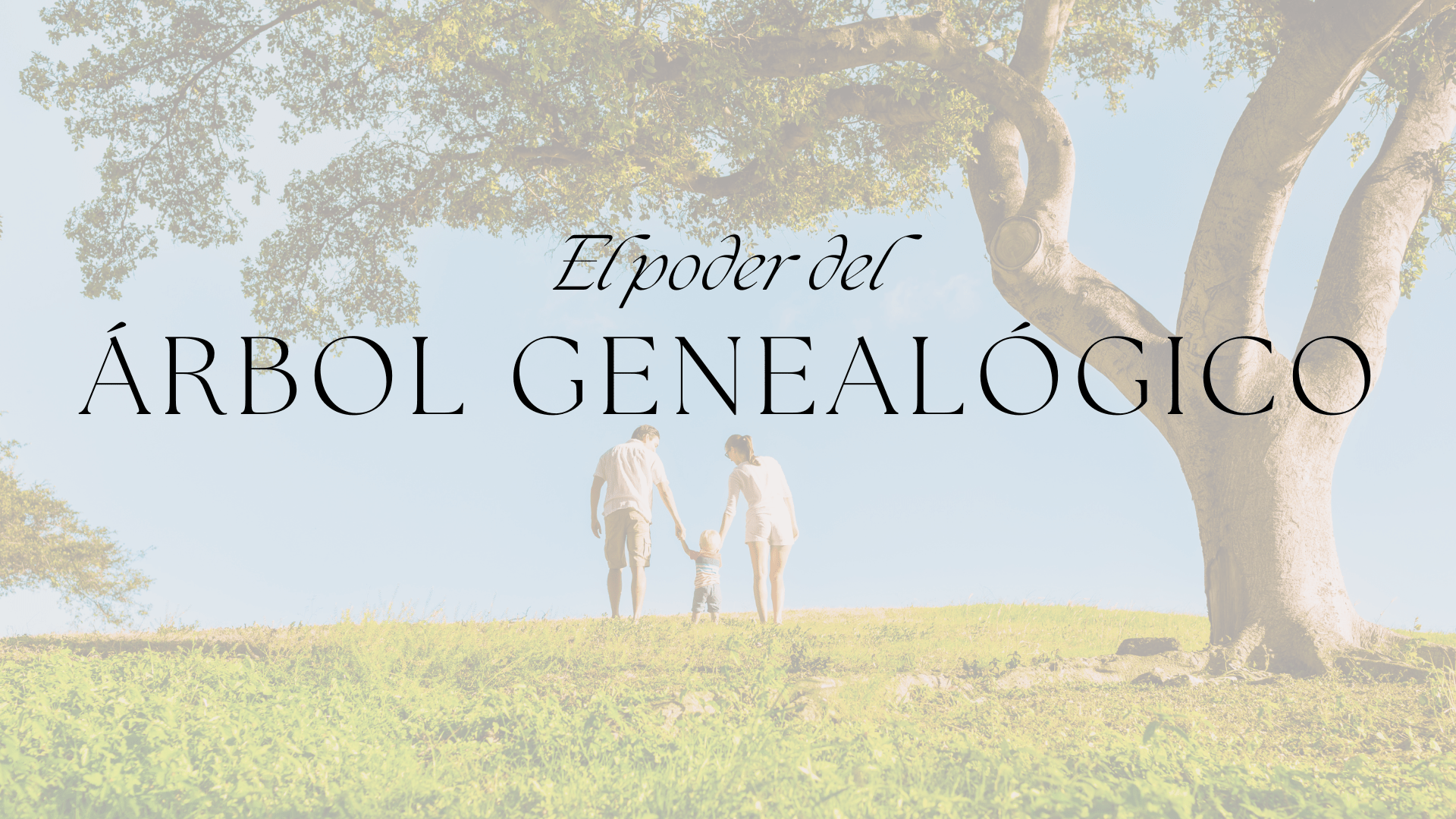 Explorando Nuestras Raíces Emocionales: El Poder del Árbol Genealógico en la Bioneuroemoción
