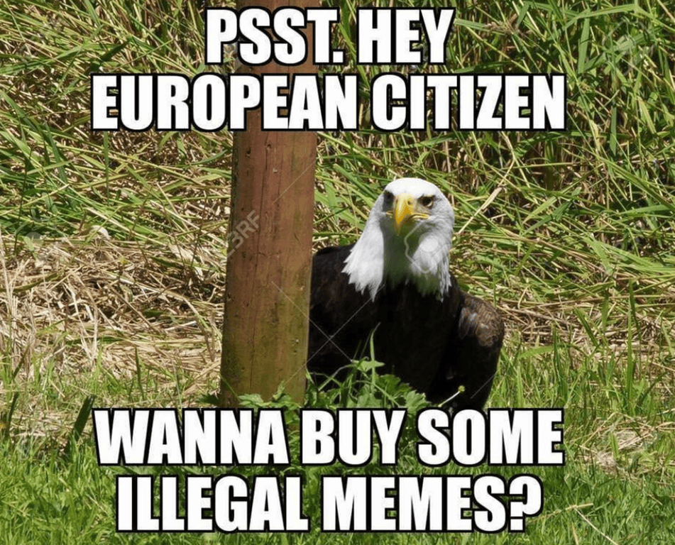 illegal memes American Intelligence Media