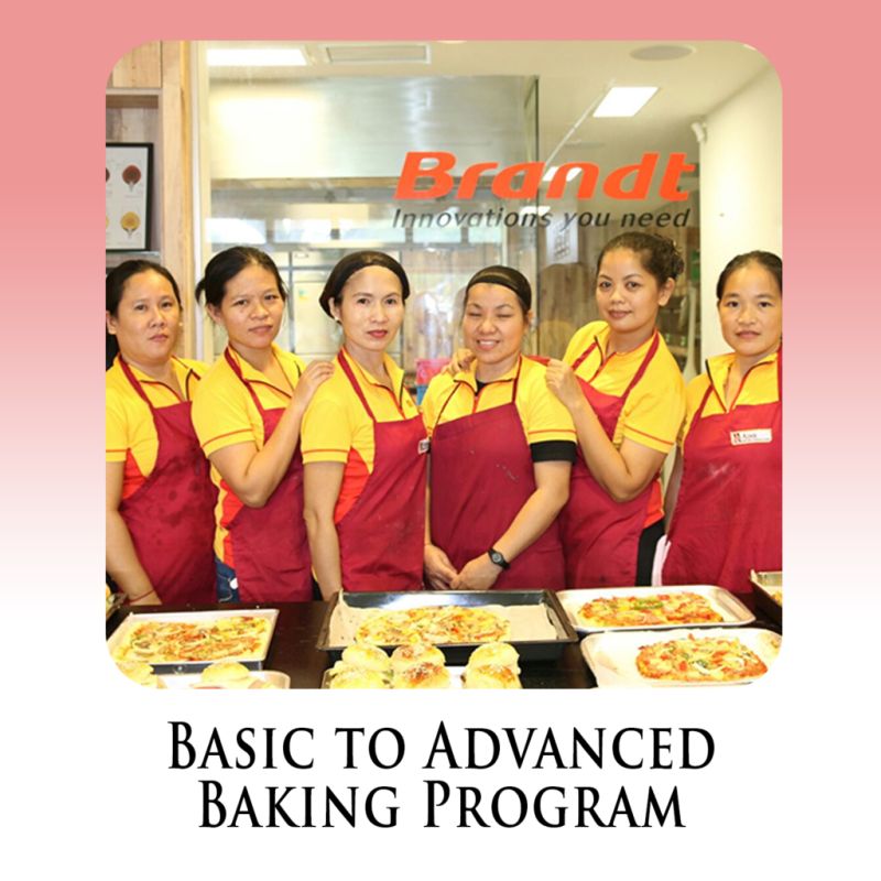 Courses Aims Learning International - Geometric Textures - Professional Retina Collection