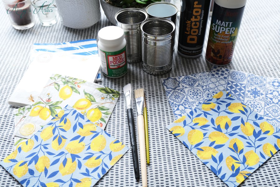 Items to recycle the tin cans into plant pots