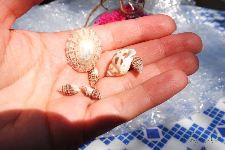 Adding shells to the globe