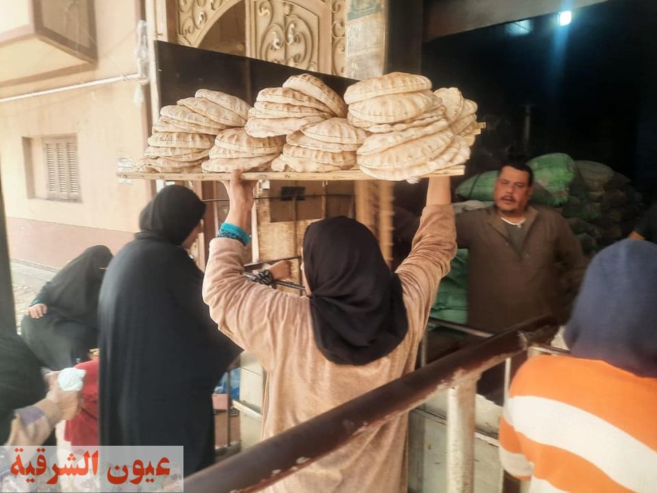 محافظ كفرالشيخ: تحرير 18 محضرًا تموينيًا لأصحاب المحال التجارية المخالفة في بلطيم