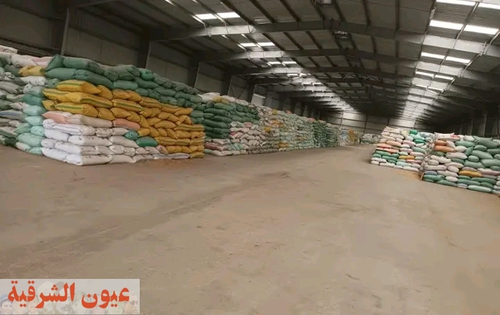 محافظ دمياط تتابع انتظام عملية توريد محصول القمح لهذا الموسم