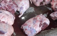 محافظ القاهرة يشدد على مديرية الطب البيطري بتكثيف الحملات
