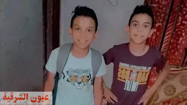 هربًا من حرارة الجو.. مصرع شقيقين في الغربية