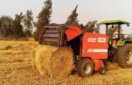 تجميع 12780 طن قش أرز منذ بداية الحصاد للقضاء على السحابة السوداء بالشرقية