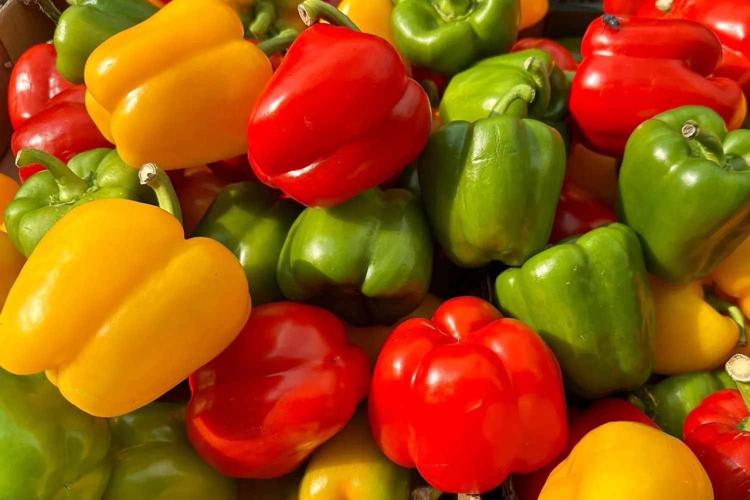 الخيار ليس وحده.. 17 طعاماً غنية بالماء تحميك من الجفاف وتروي عطشك