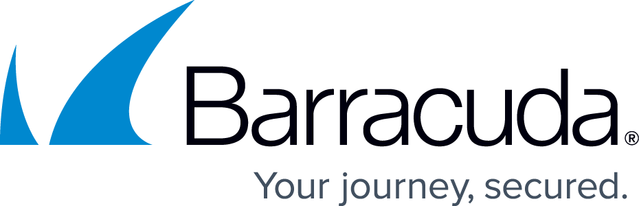 Barracuda network solutions partner