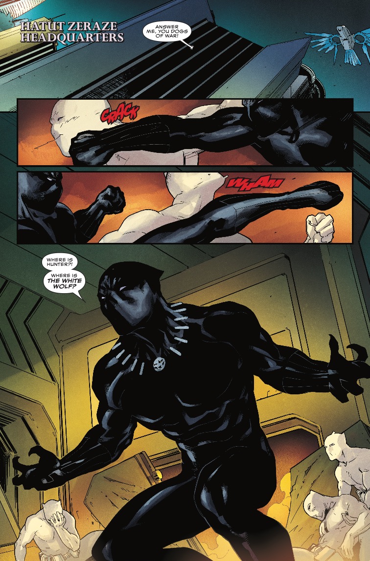 Rise of the Black Panther #5 Review
