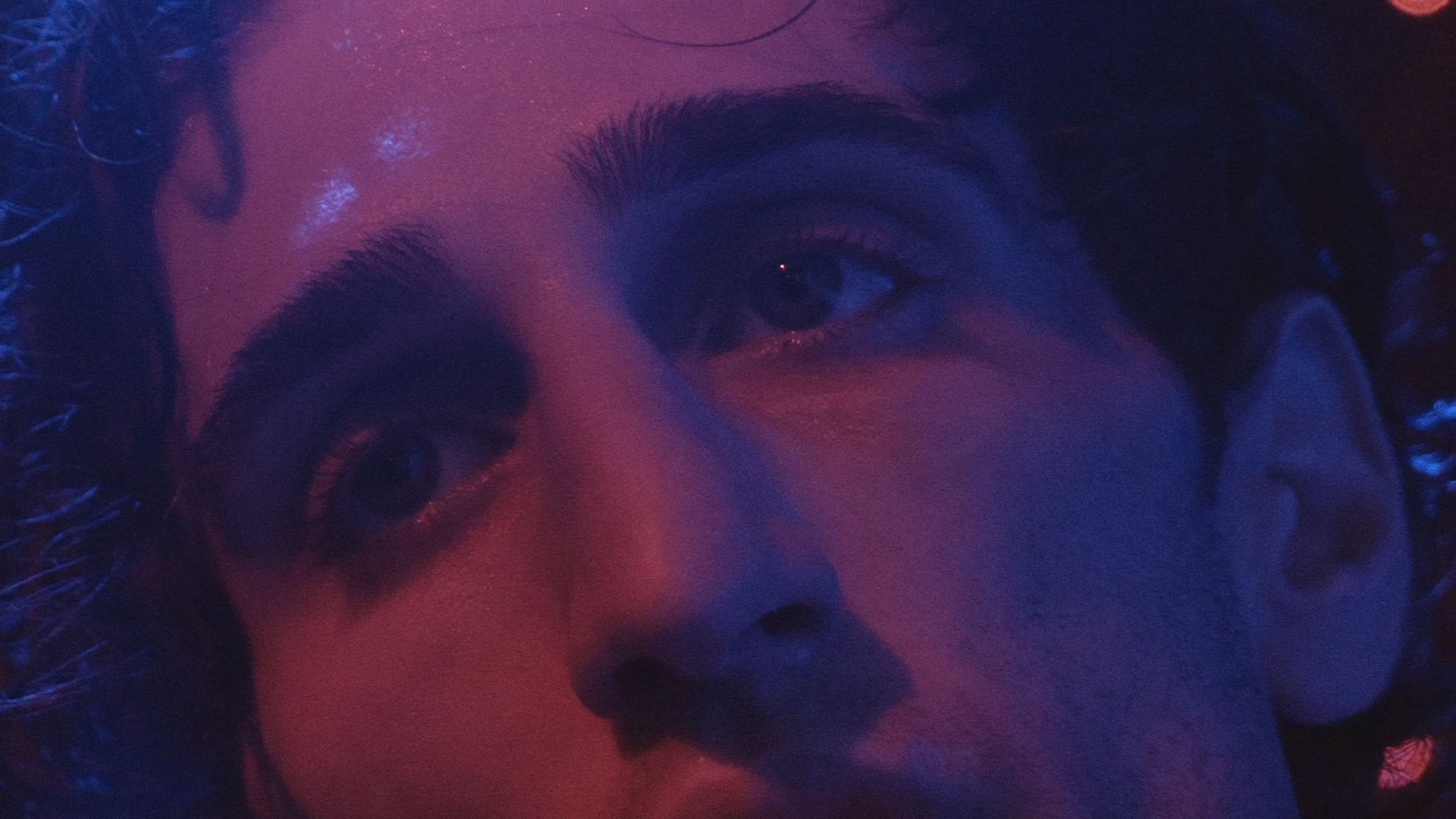 Slamdance 2020: Beware of Dog Review: Intimate tale of coping spans the globe