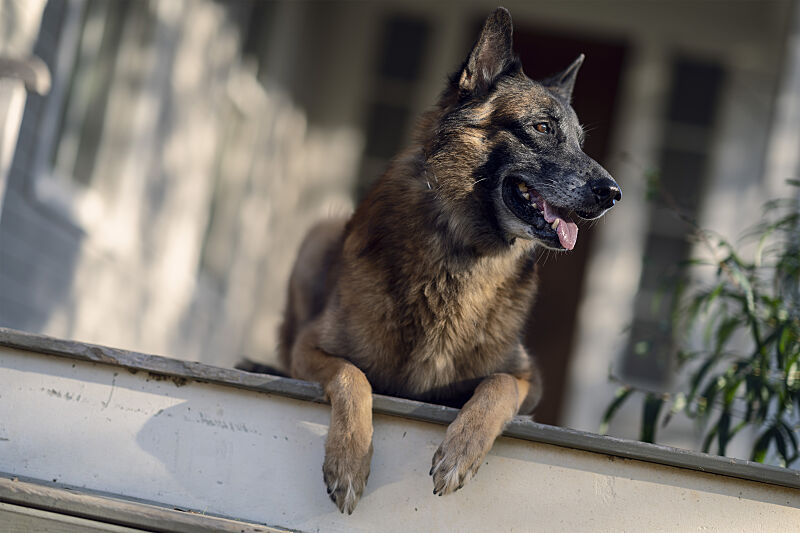 'The Walking Dead' season 10 episode 21 'Diverged' recap/review
