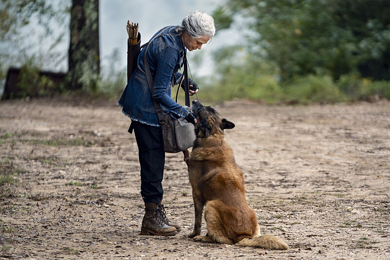 The Walking Dead (AMC)