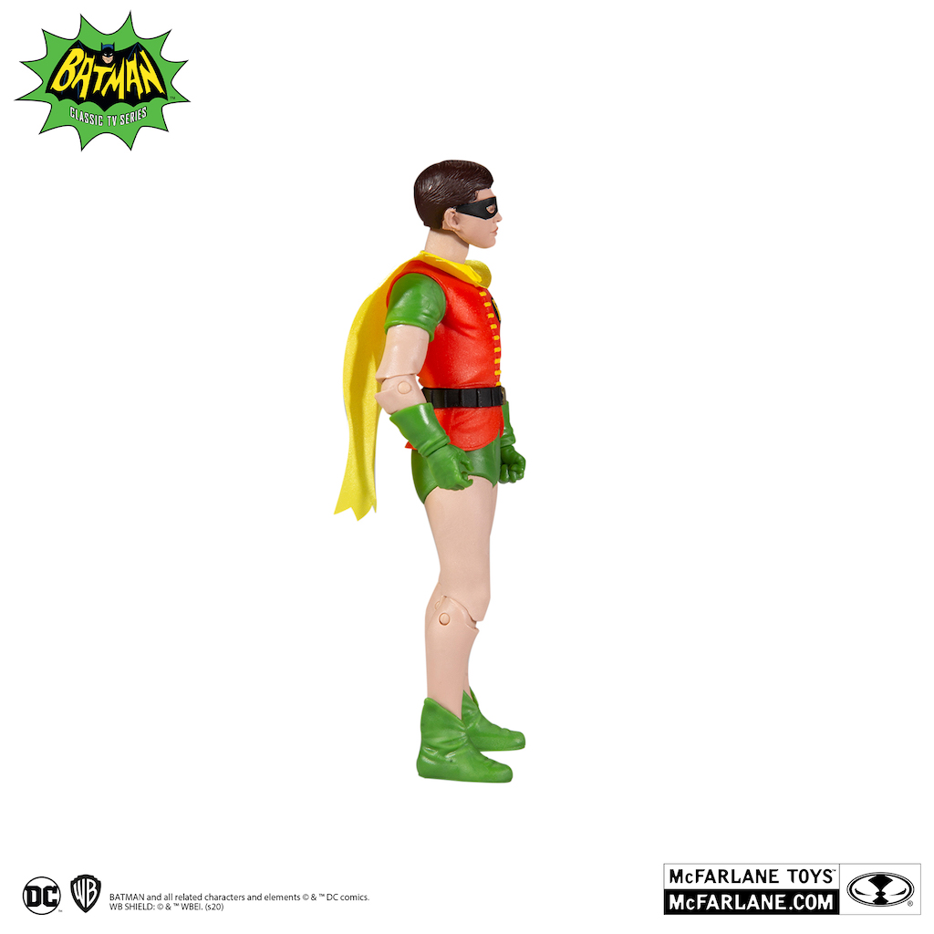 15033-Robin-04