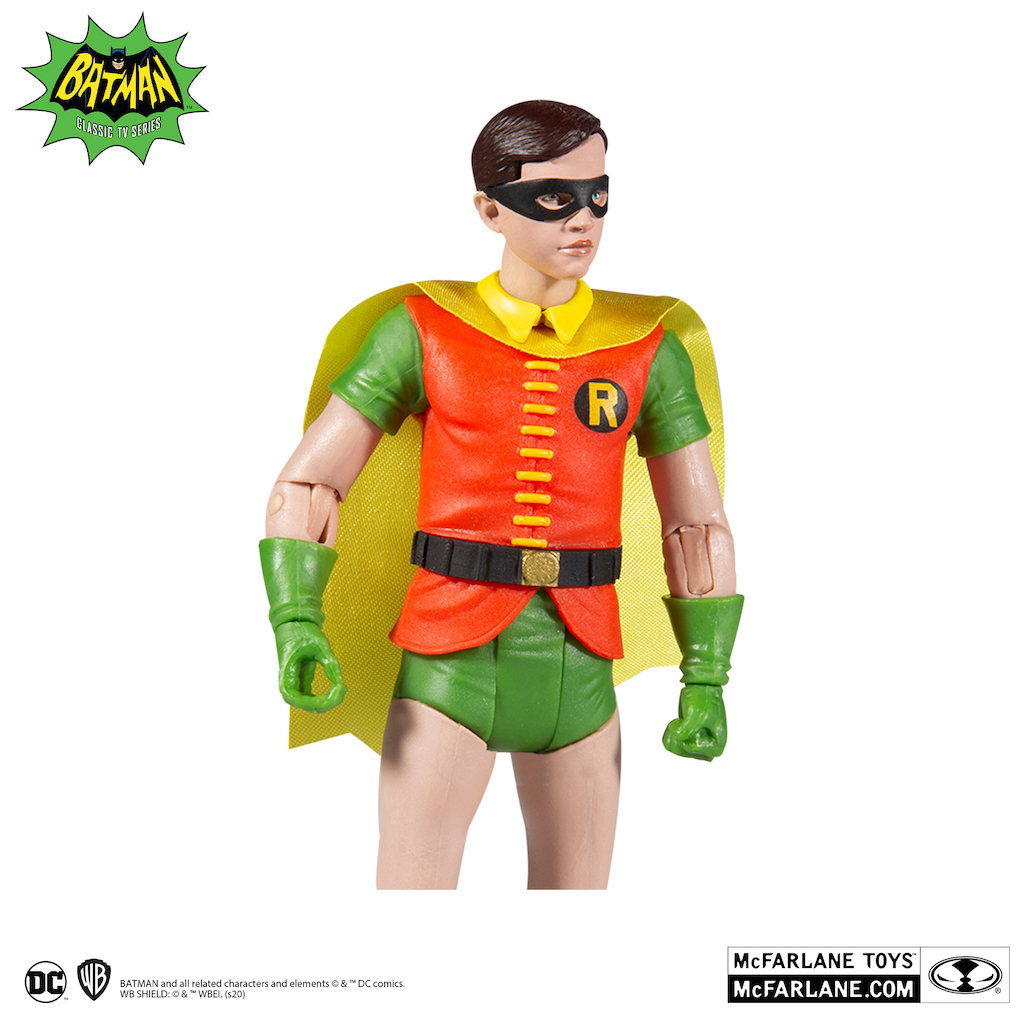 15033-Robin-05
