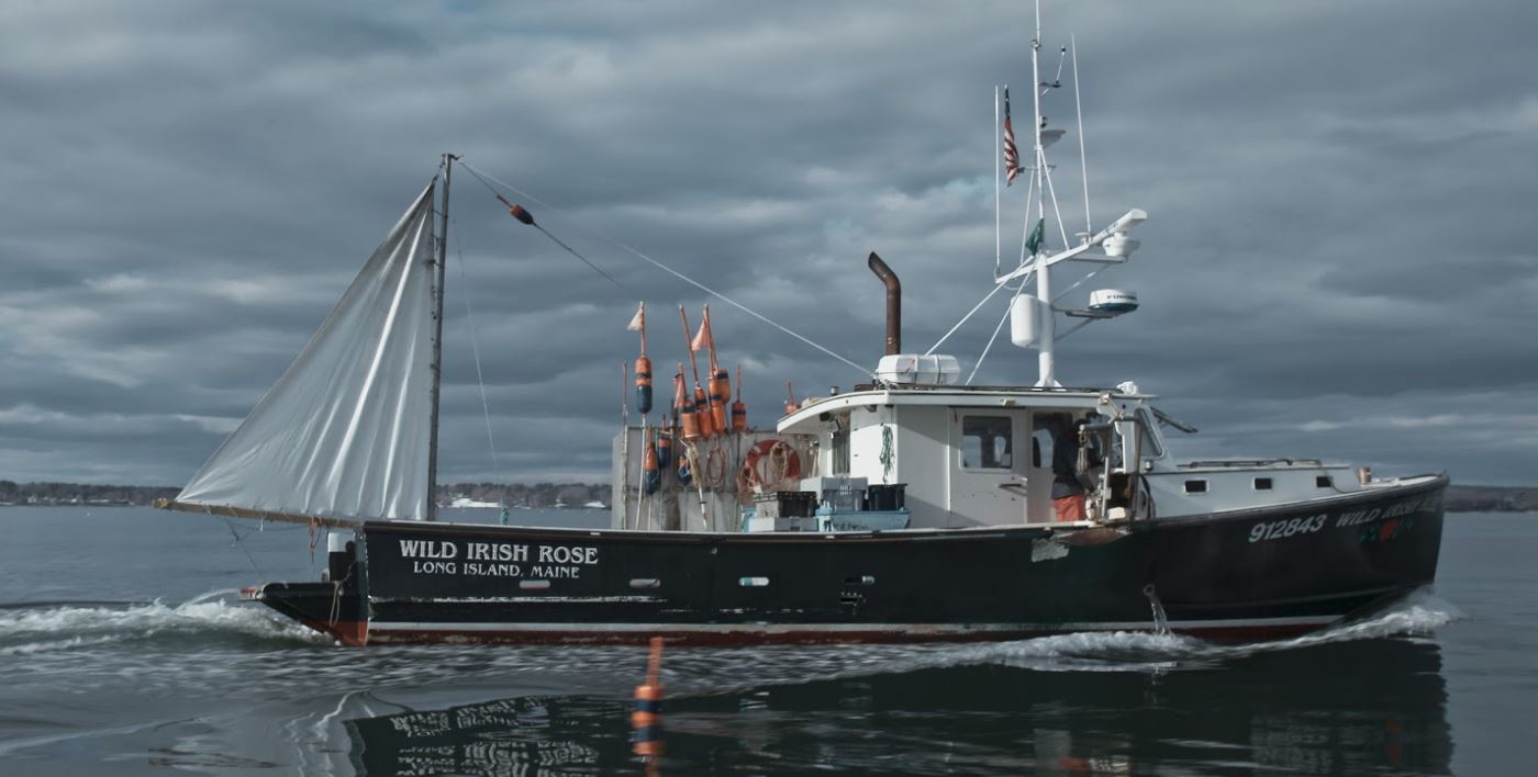 'Downeast' review There's no place like home