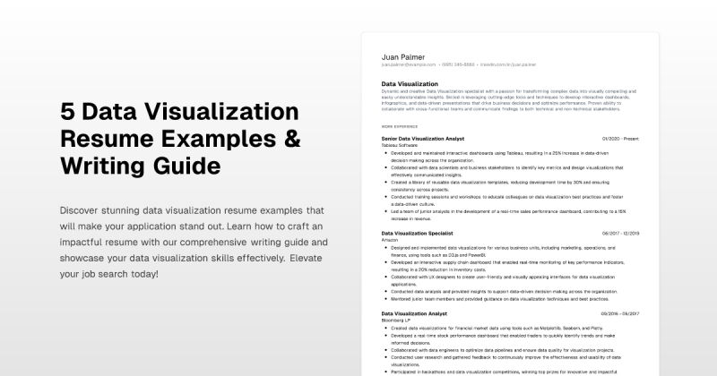 Amazon Data Visualization Engineer Resume Examples - Premium Vintage Art Gallery - Full HD