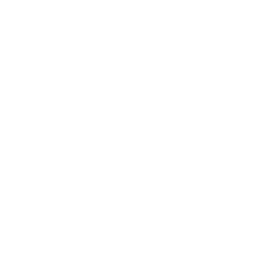 Expert Technicians