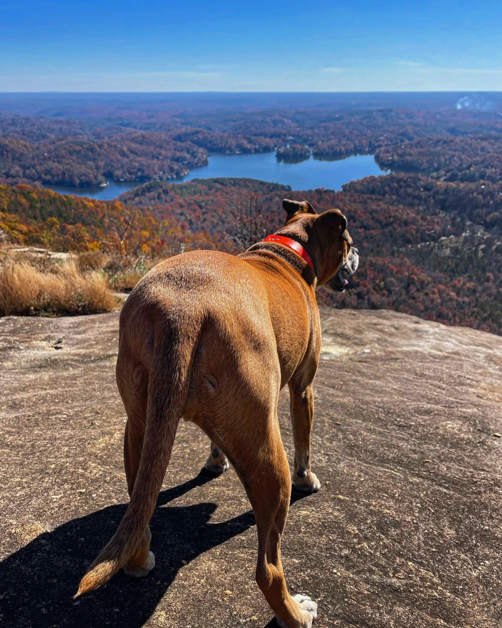 Quickie fall loop: Erwin, TN – Asheville, NC – Lake Lure, NC