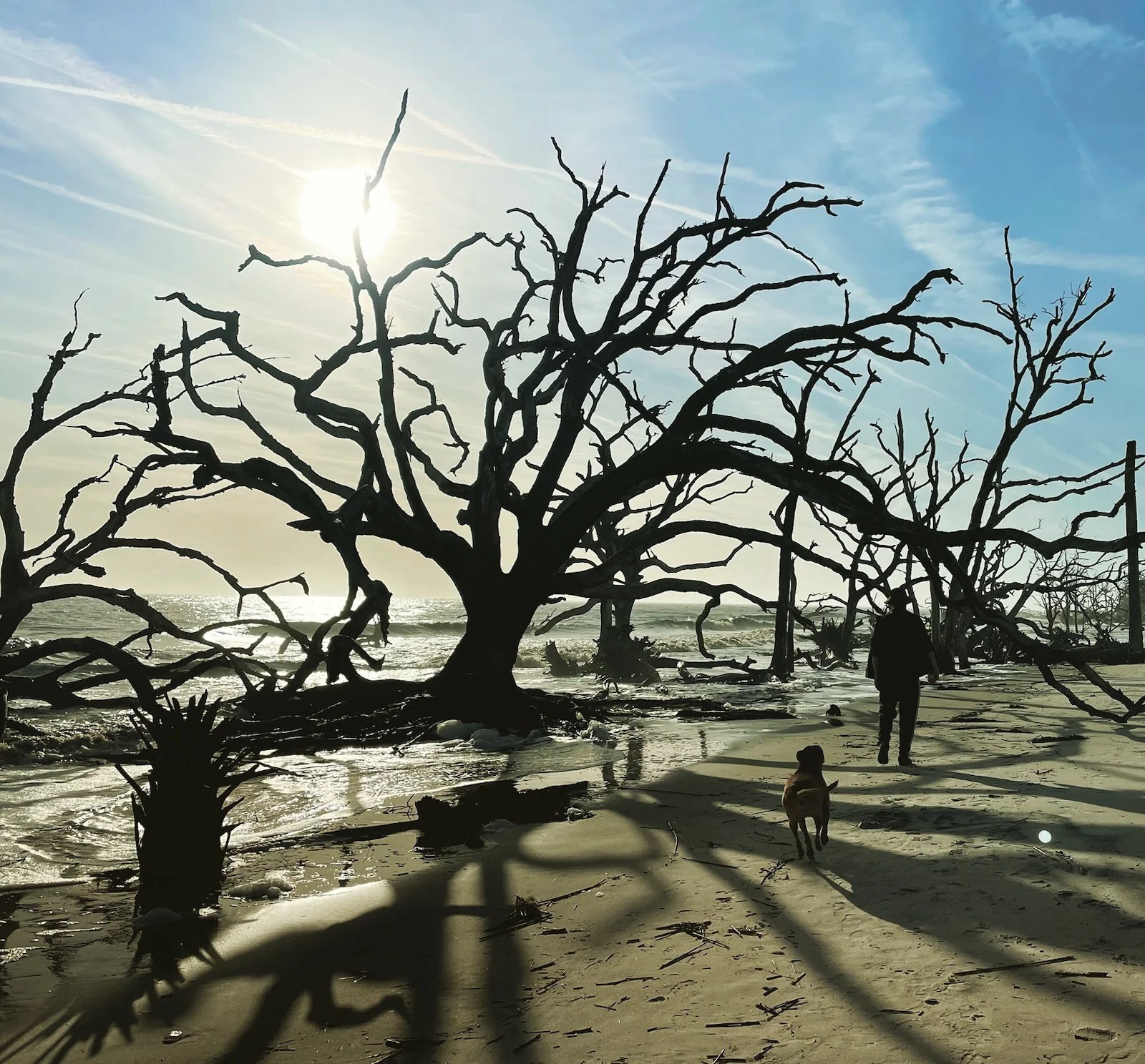 One night in Jekyll Island, GA–Florida in January trip