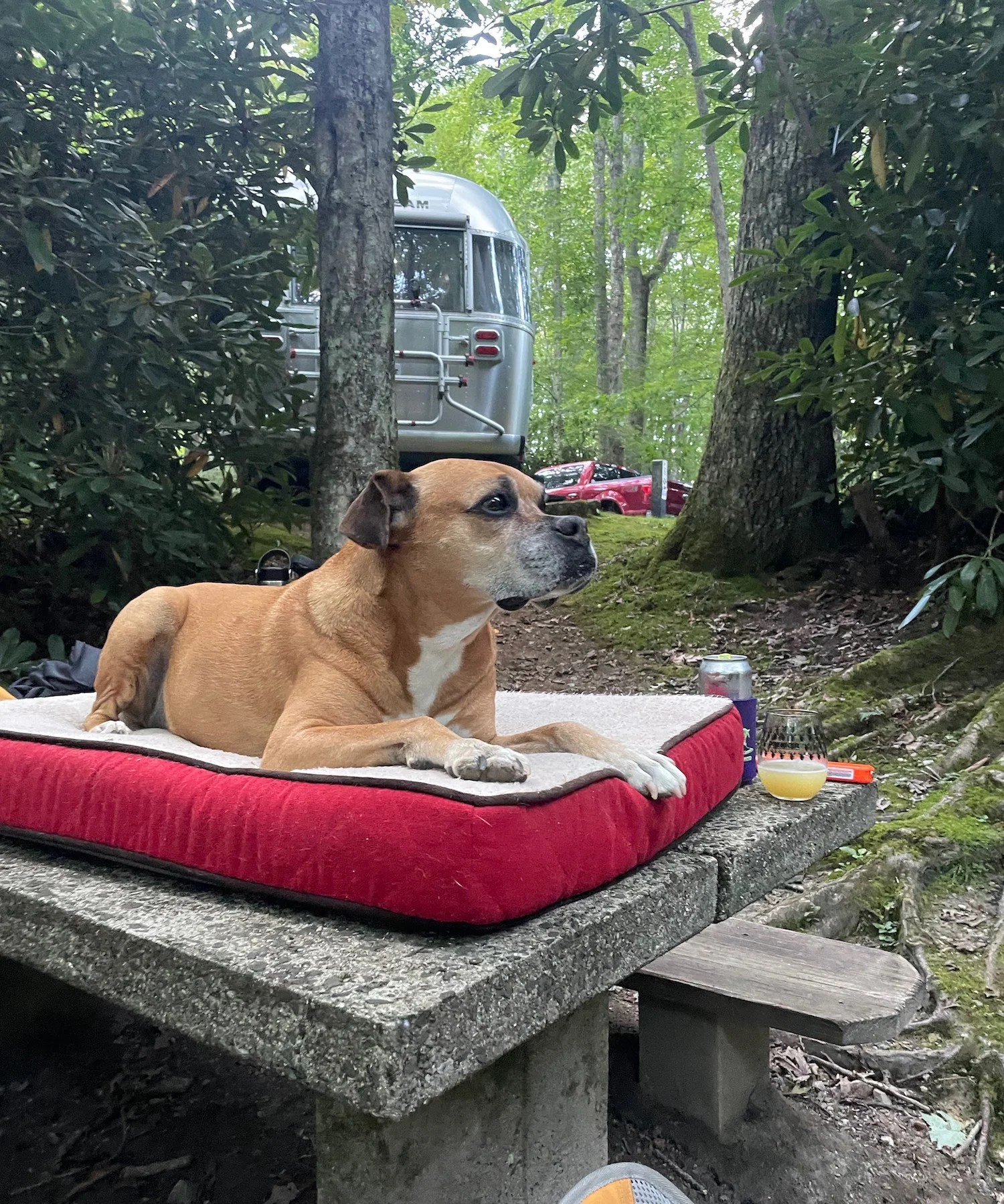 One night in Blowing Rock, NC (visit #2)–Five Days in the Mountains