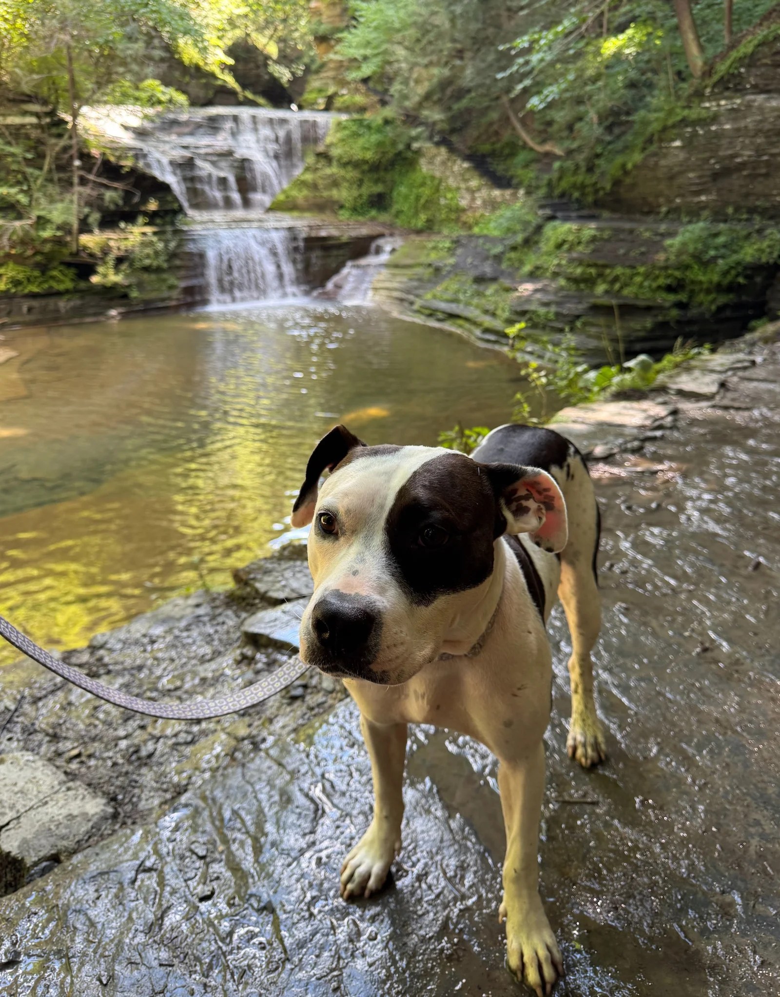 One night in Ithaca, NY–Big Trip #5
