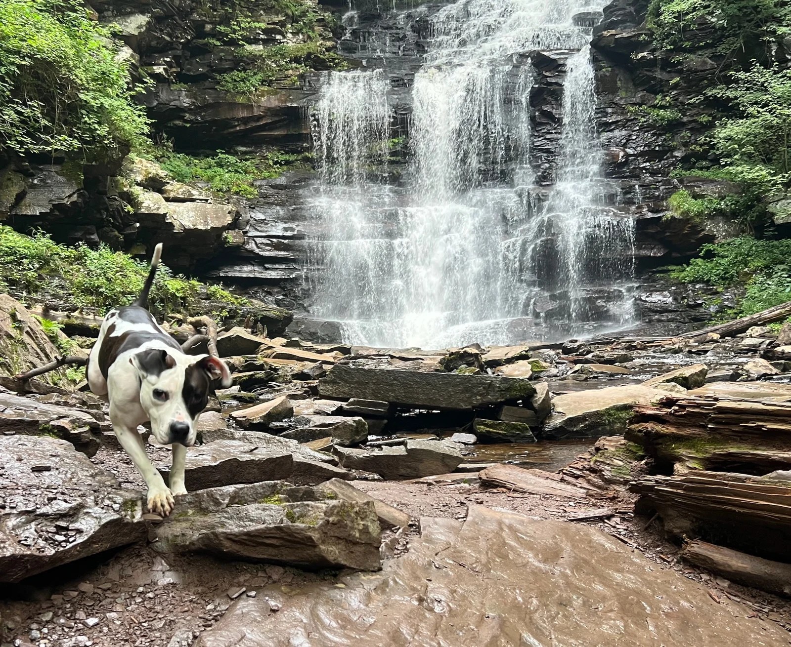 One night in Rickett’s Glen State Park, PA–Big Trip #5