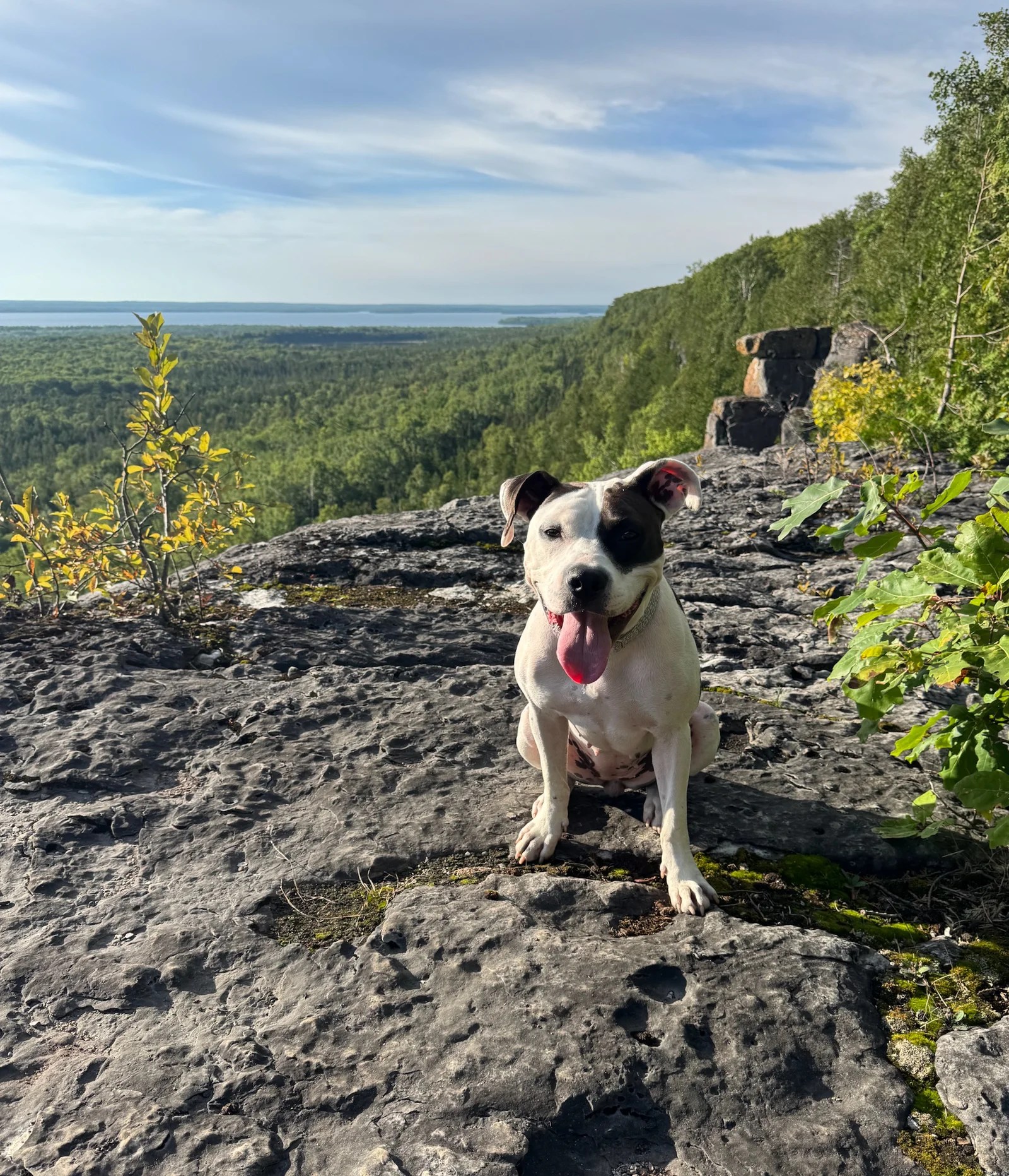Two nights on Manitoulin Island, ON–Big Trip #5