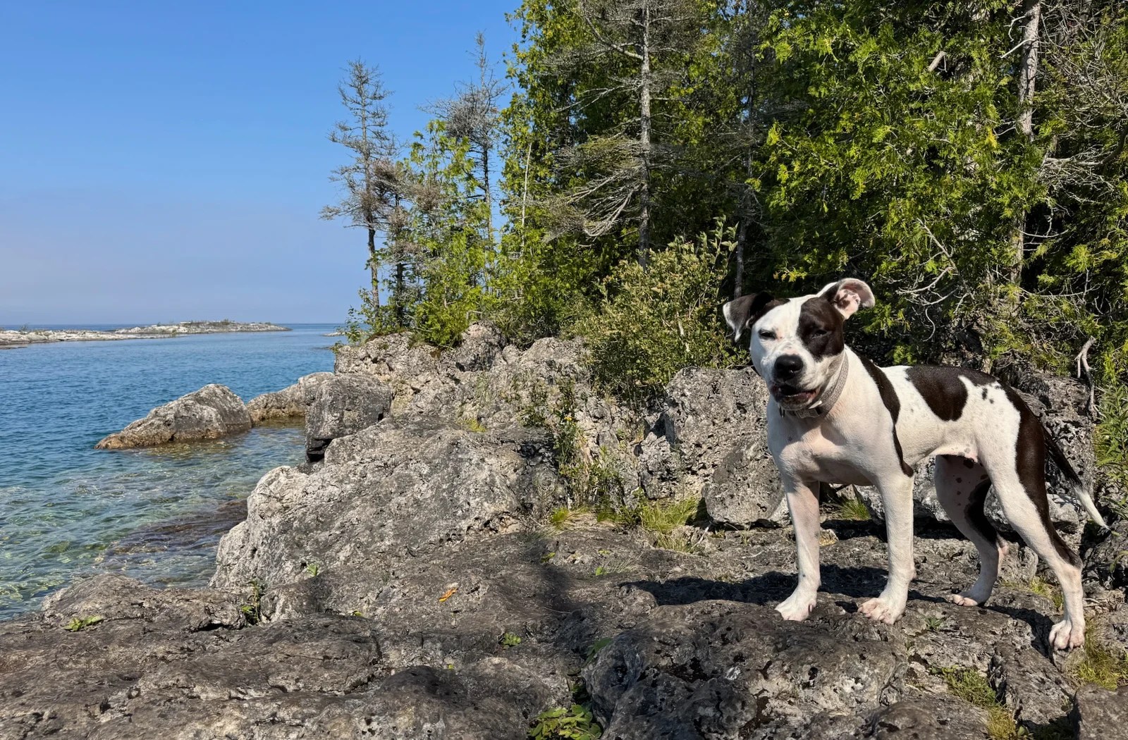 Two nights in Tobermory, ON–Big Trip #5