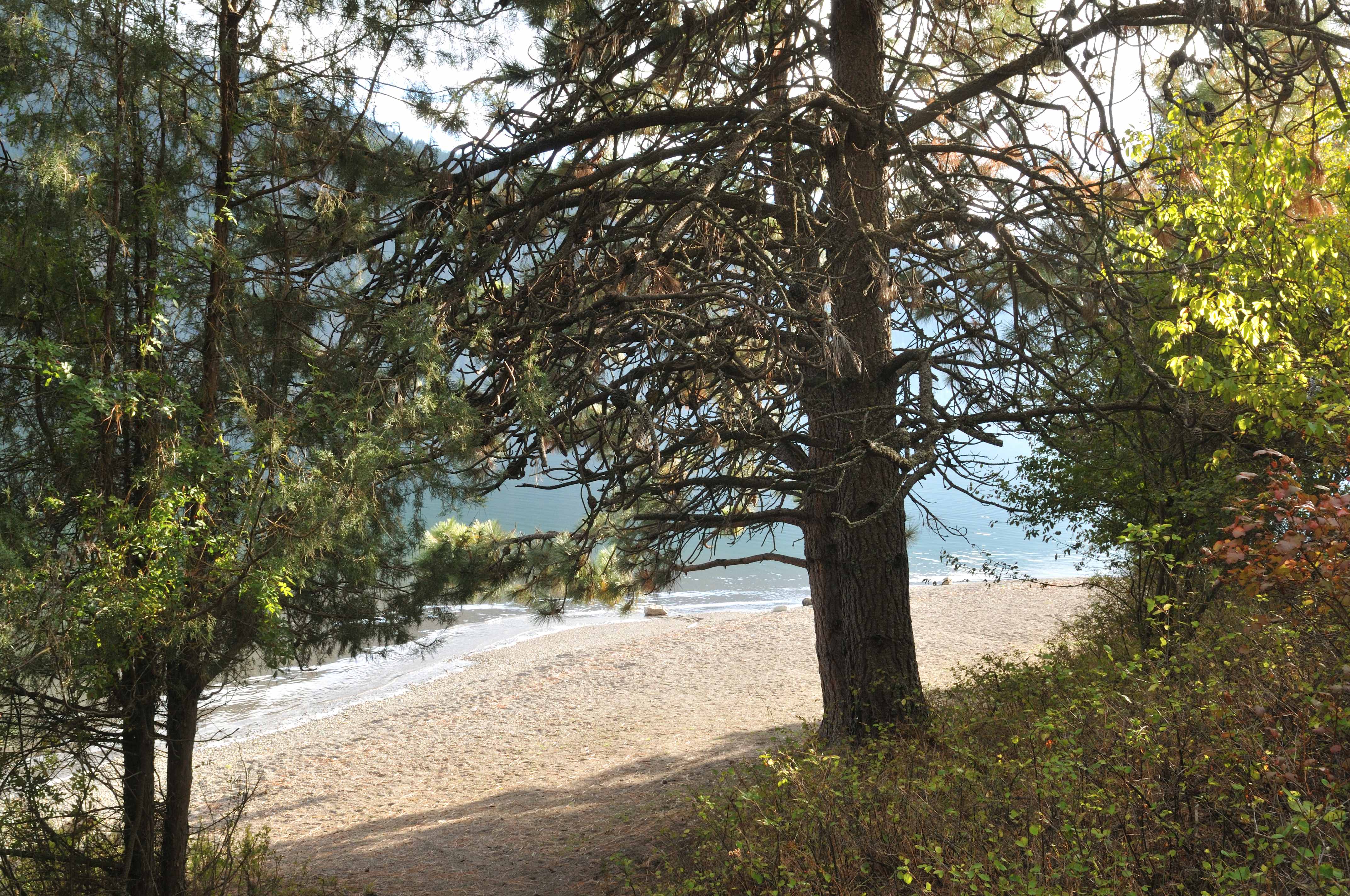 Heyburn State Park Airstream Time