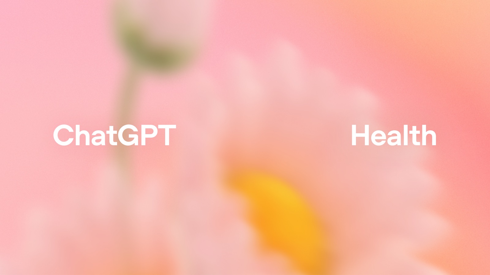 ChatGPT Health 출시, 2억 3천만 명이 AI 건강 상담하는 시대