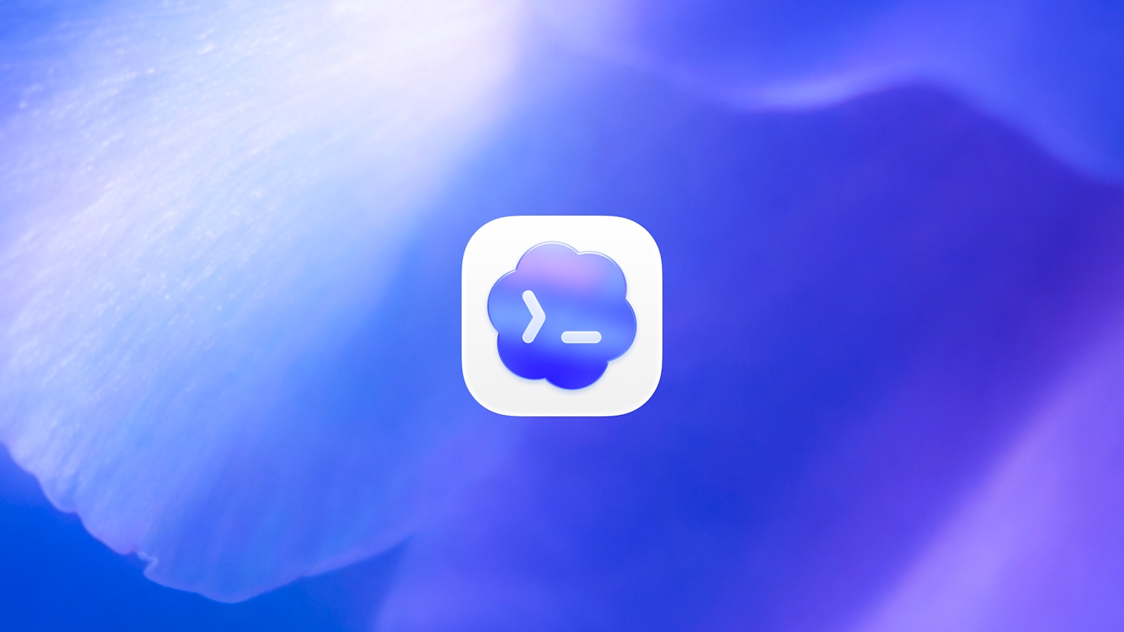 Claude Code 맞수 등장, OpenAI Codex 데스크톱 앱 출시