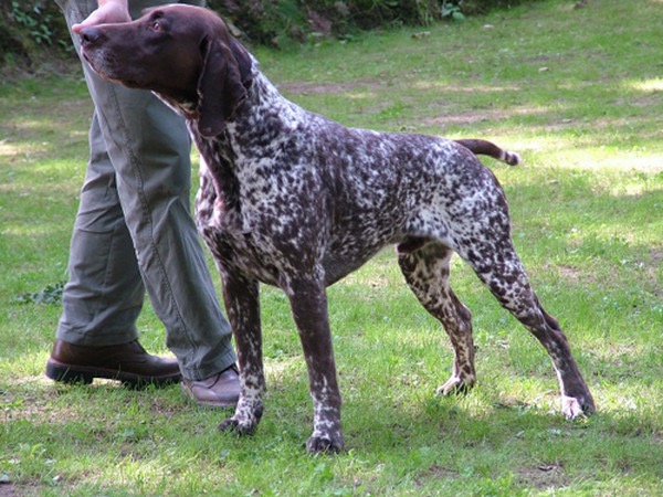 Jogurt vom Hege Haus