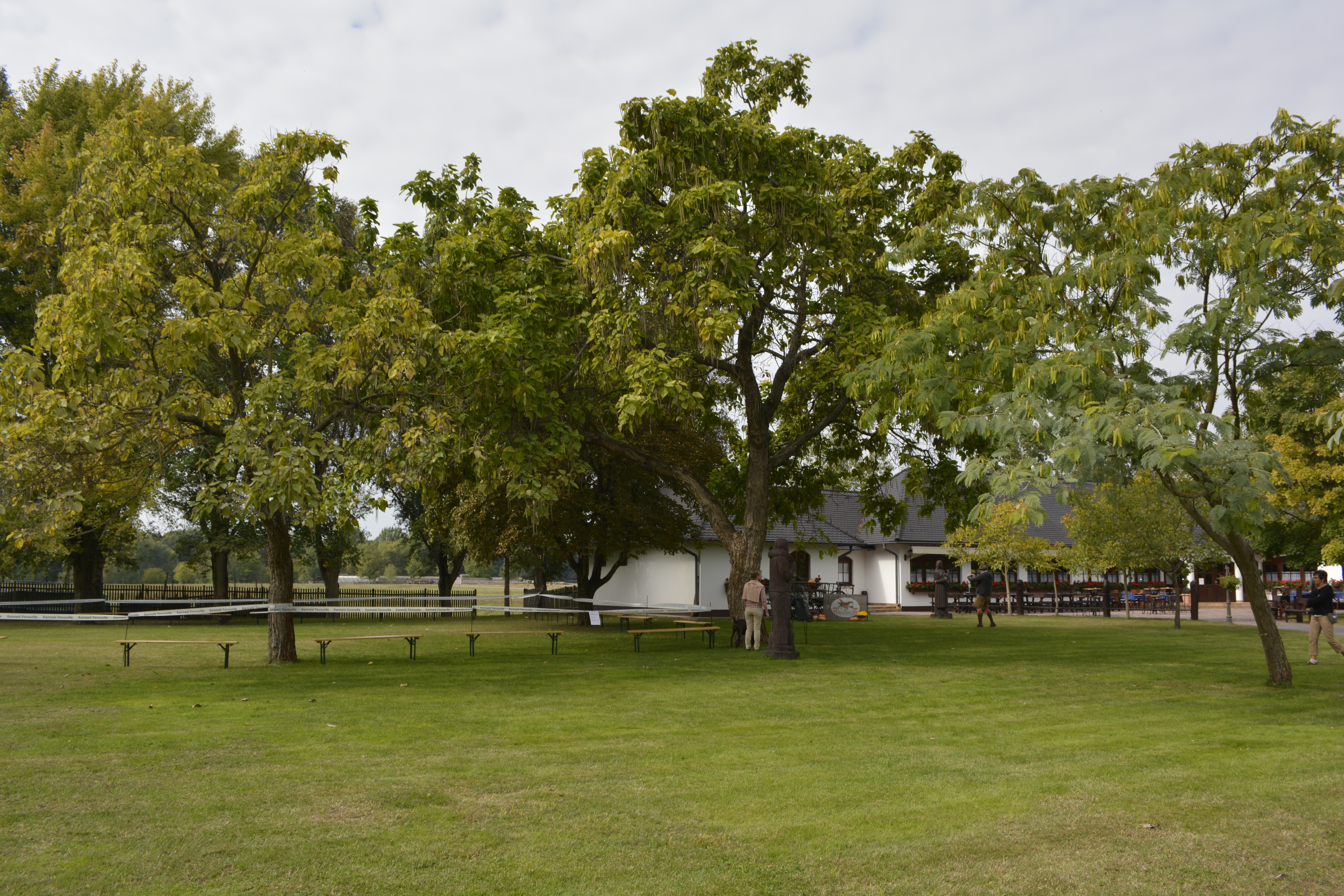 Biczó Csárda & Lovaspanzió