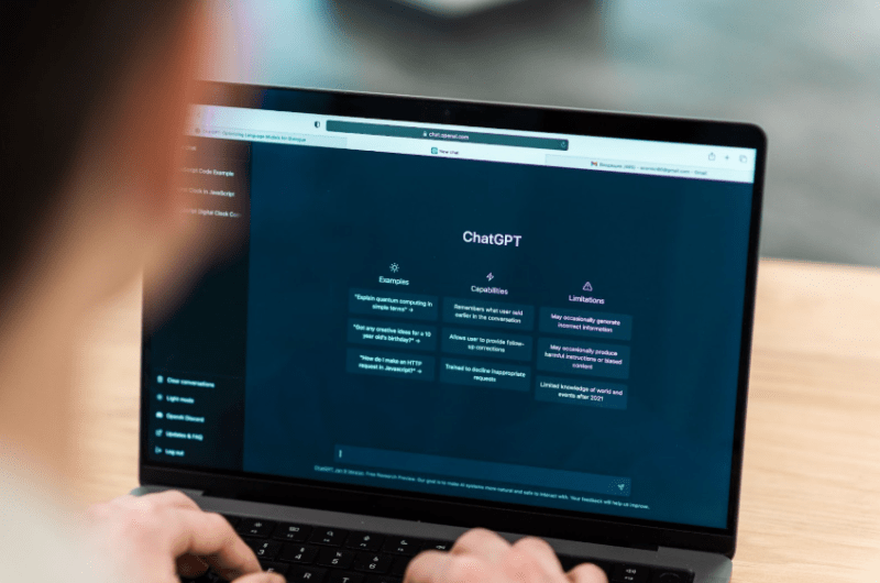 a person using chatgpt interface