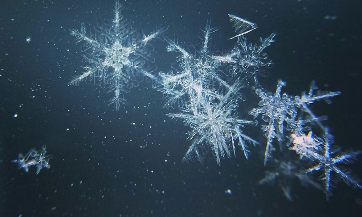 Snowflake Expands AI with Intelligence & Cortex Code