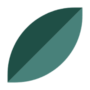 Heali AI Logo
