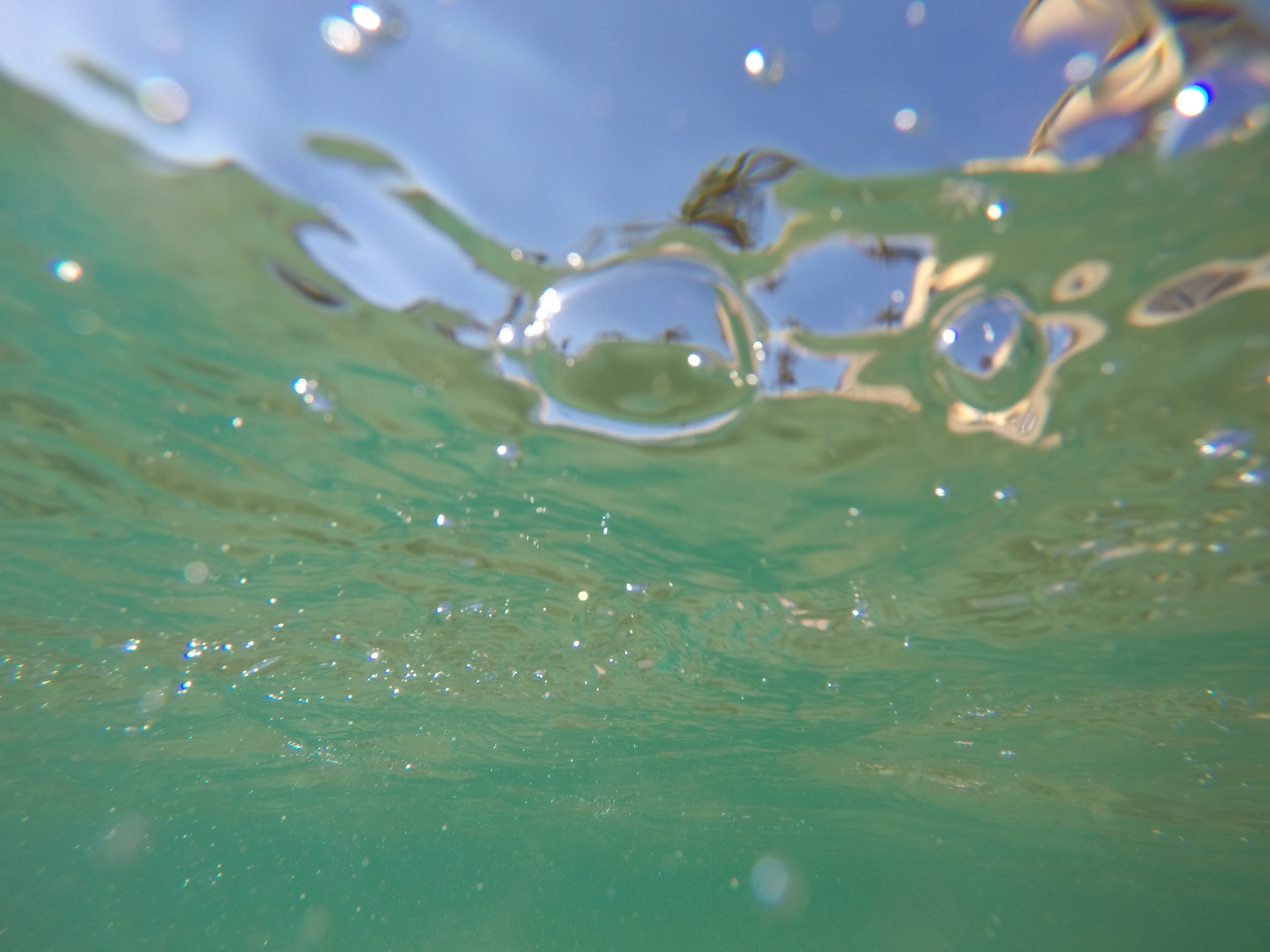 DCIM100GOPROGOPR8125.