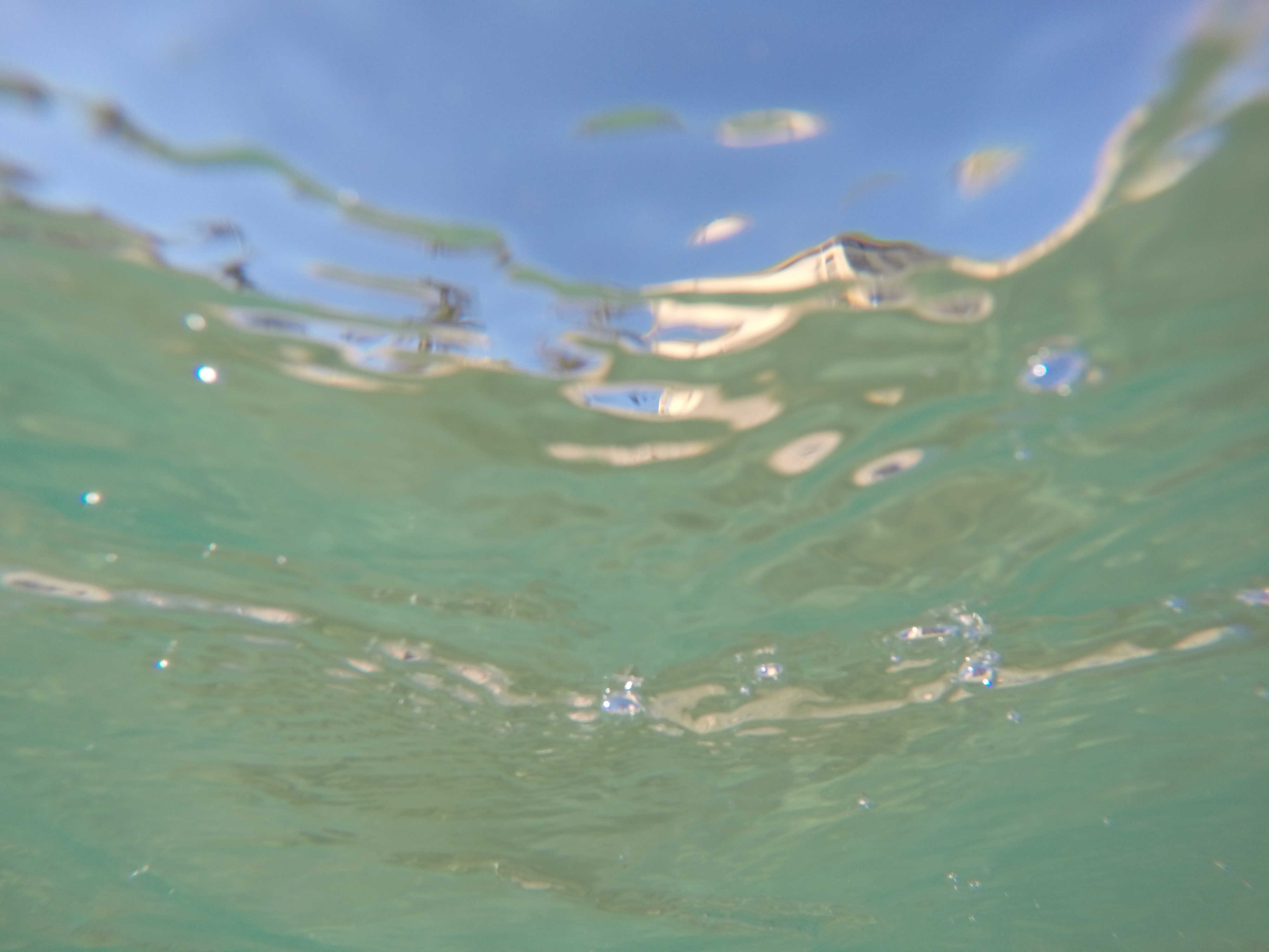 DCIM100GOPROGOPR8124.