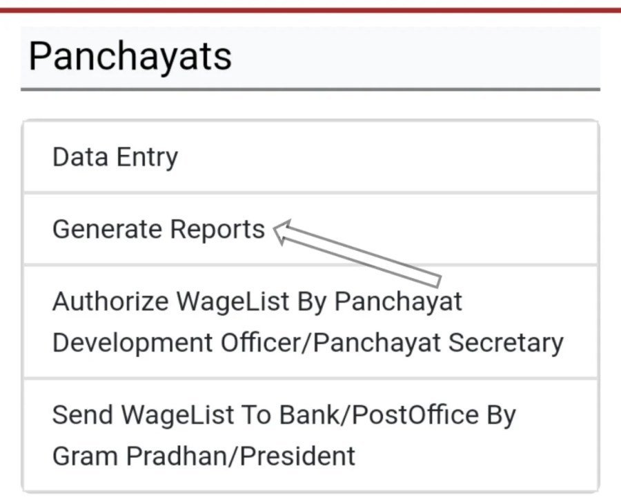 generate reports
