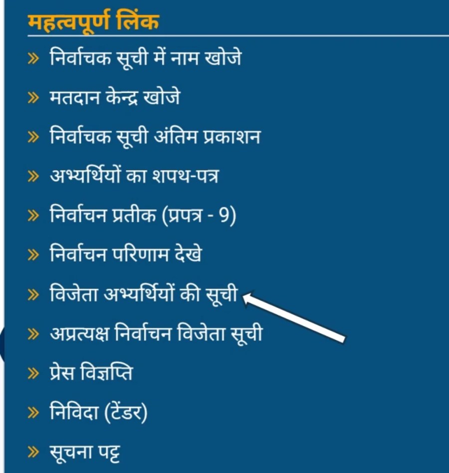 विजेता अभ्यर्थियों की सूची