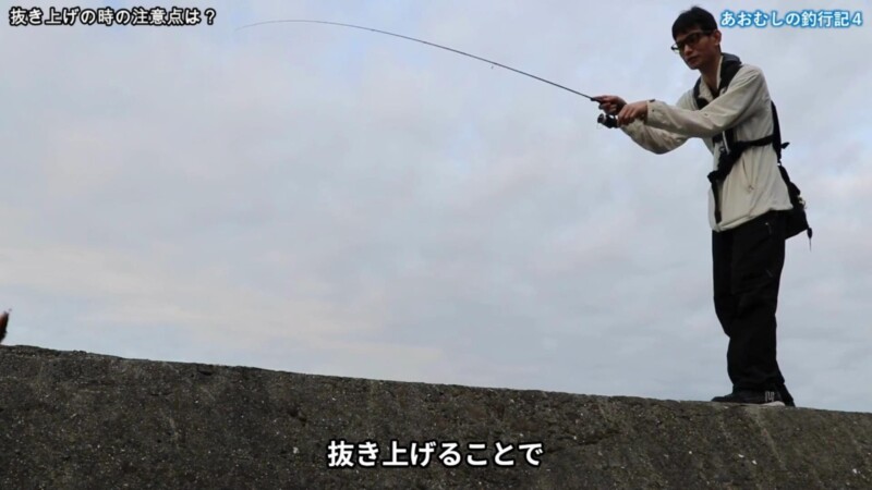 インプレ】衝撃の神感度？レガーメの不動ってアジングロッドが予想以上